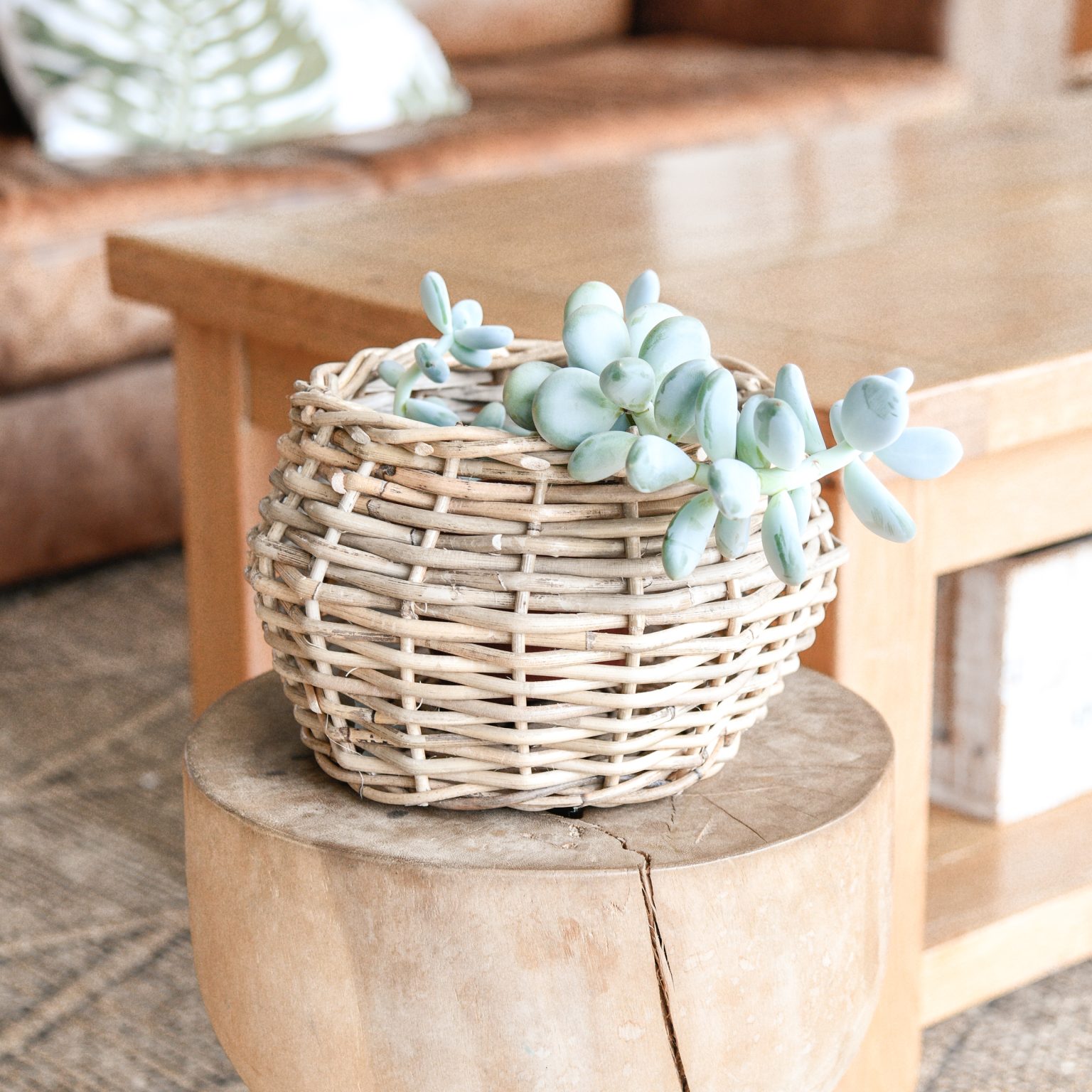 Kubu Ball Planter Kate's Curated Collection